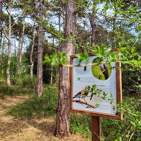Отель Village Eco Линьяно-Саббьядоро