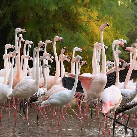 Village Eco Lignano Sabbiadoro