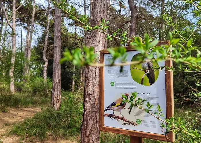 Hotel Village Eco Lignano Sabbiadoro